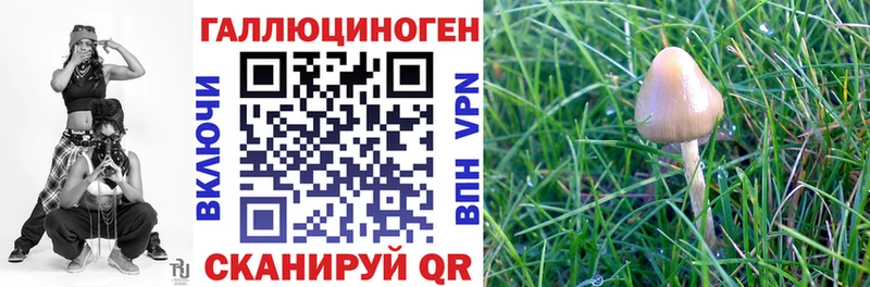 Купить закладки  Южно-Сухокумск  Псилоцибиновые грибы GOLDEN TEACHER 